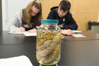 Science Olympiad students working on herpetology event